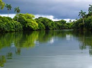 Belize studienreise regenwald fluss